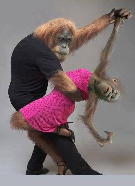 Dance Monkeys Dance